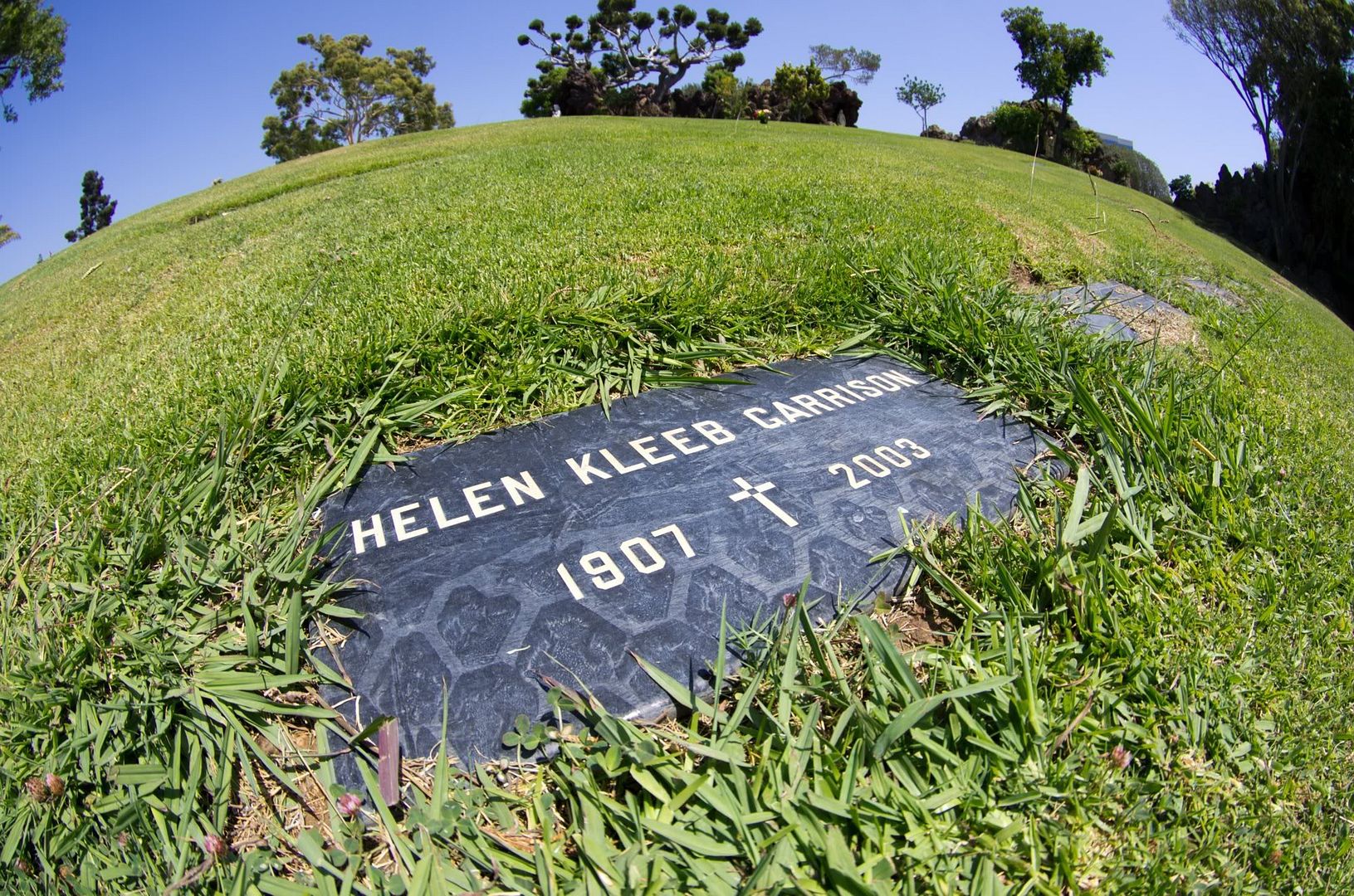 Actor Frank Maxwell was Dan Roo...